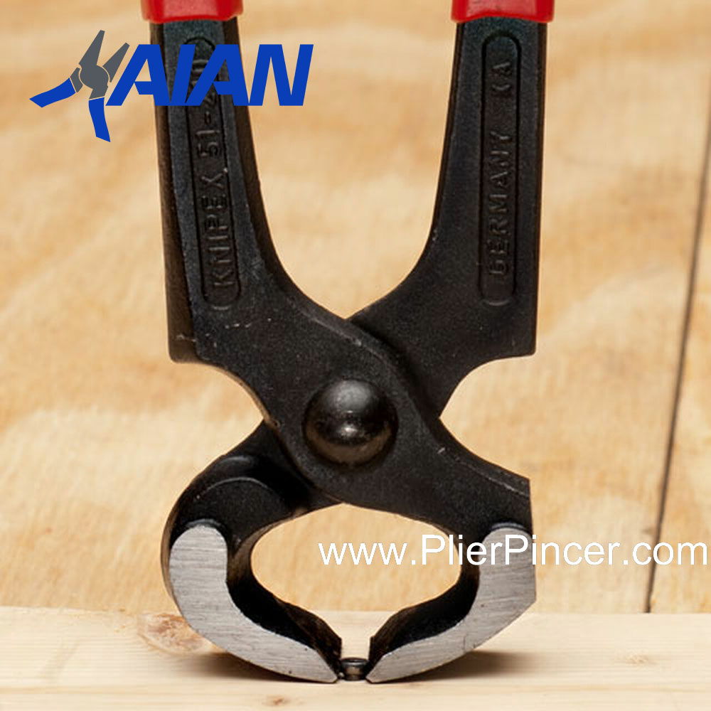 Carpenters Pincers top cutting nail